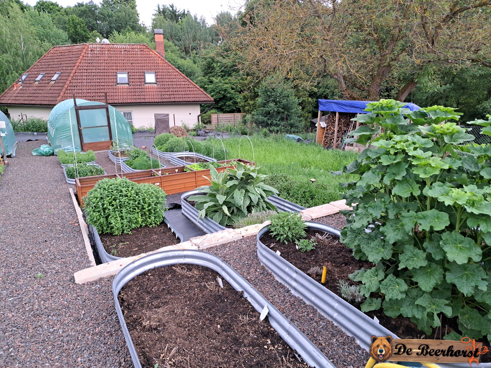 2025 De Beerhorst 20250609 41